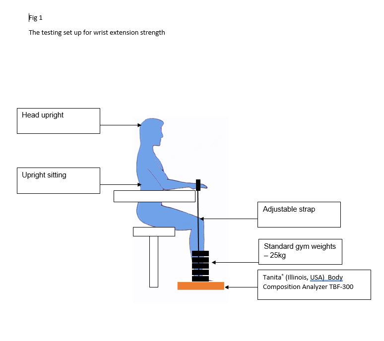 Fig 1. The testing set up for extensor strength